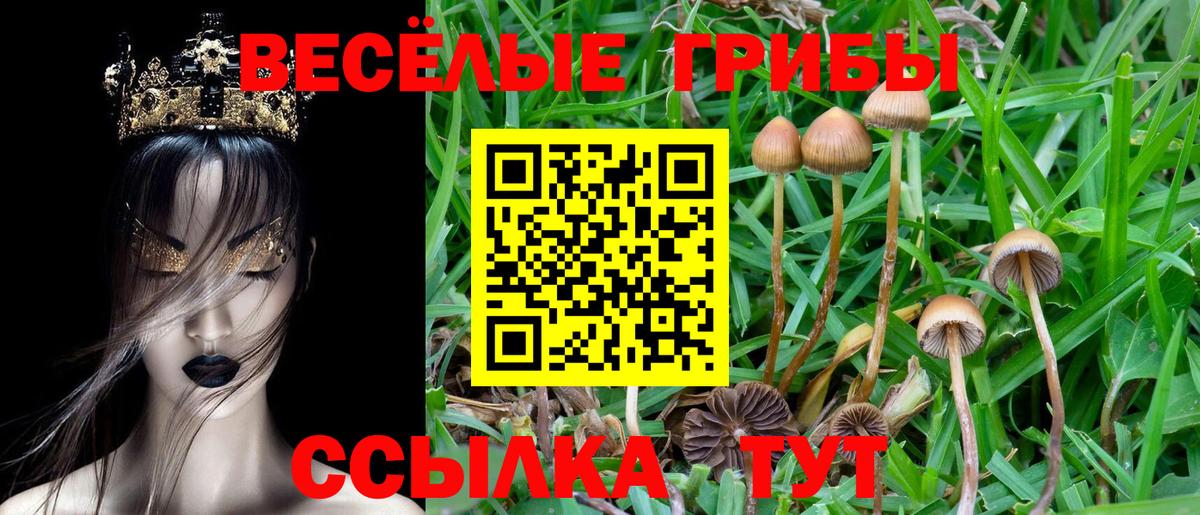 Галлюциногенные грибы мухоморы Усть-Кут