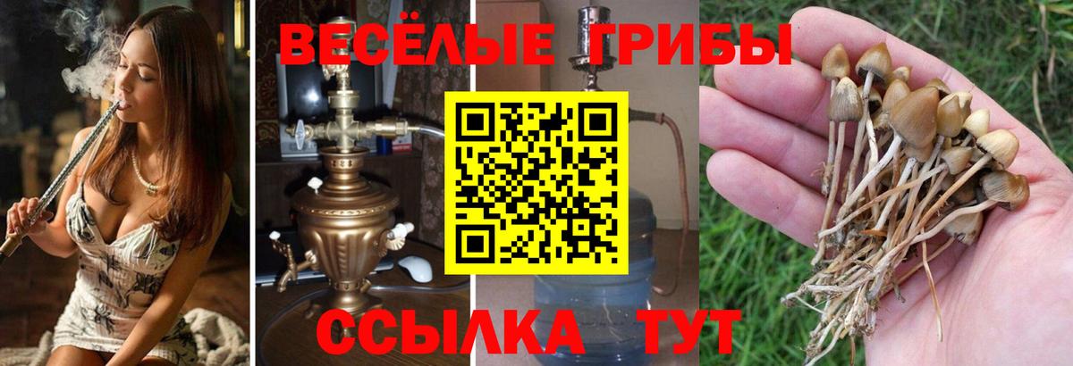 Псилоцибиновые грибы Cubensis  Вход с VPN  Галлюциногенные грибы мухоморы  Усть-Кут 